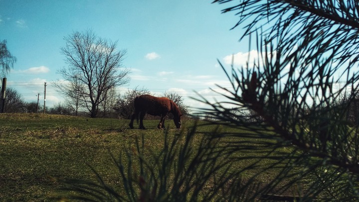 Countryside scenery