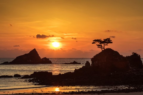 Flaming Ocean