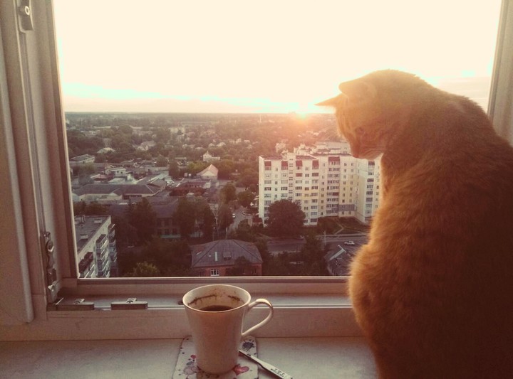Коток и кофеёк