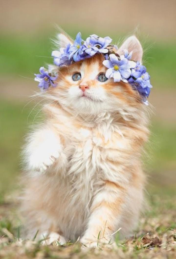 cute ❤️