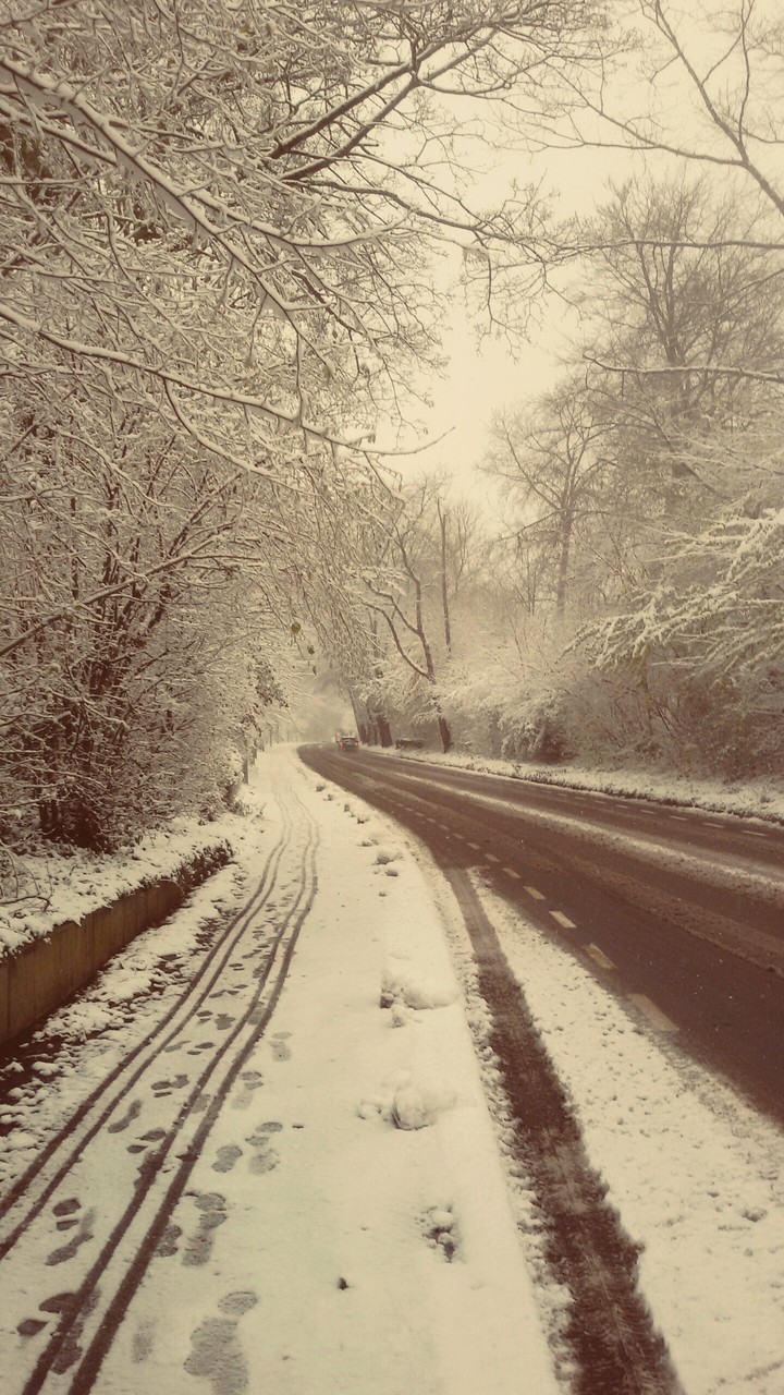 winterwald