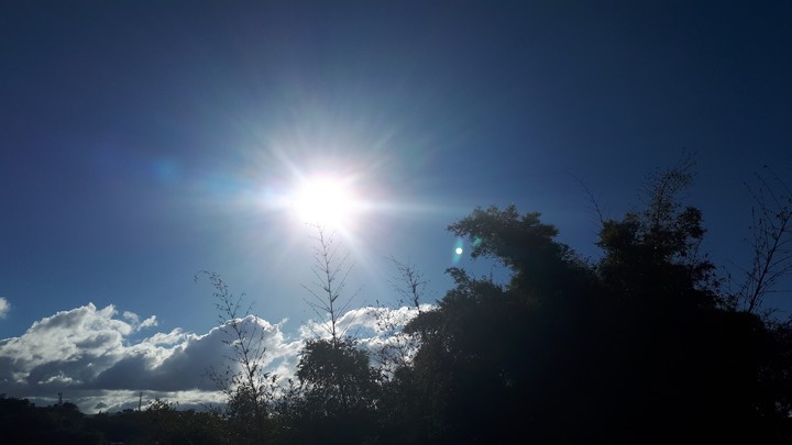 A sunny evening