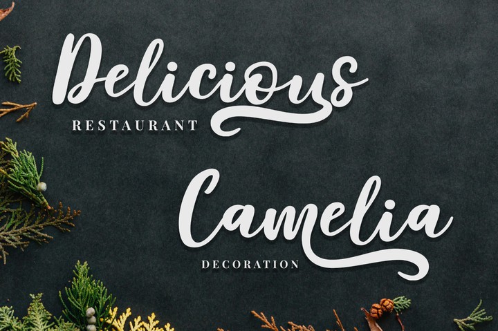 nice font