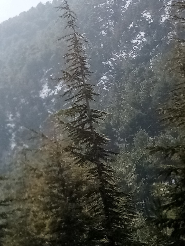 Kış