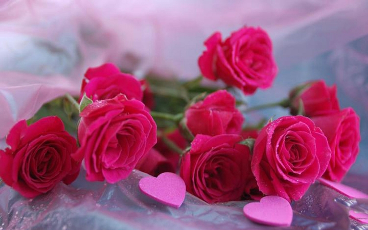 Roses