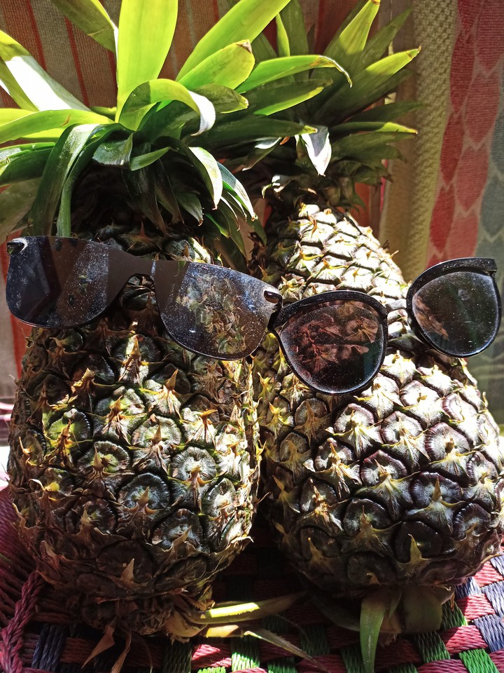 together pineapple