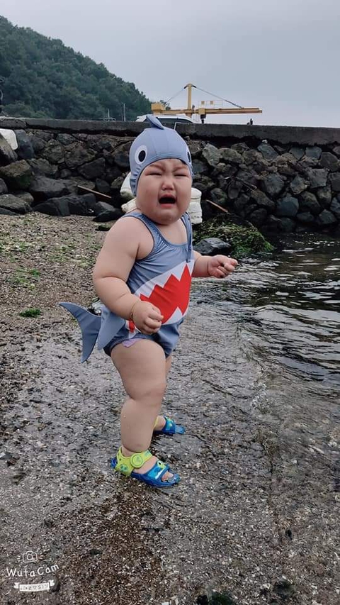 baby shark