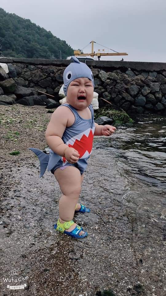 baby shark