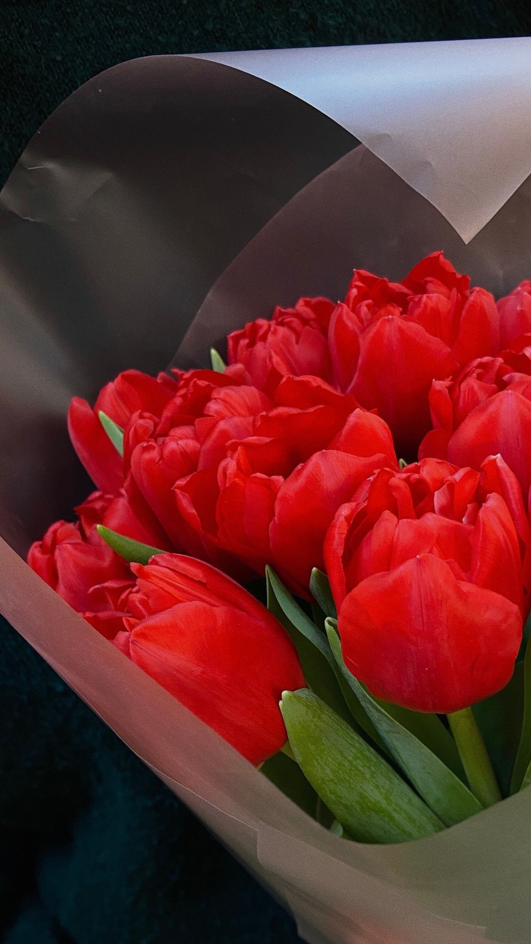 тапети floristry, red
