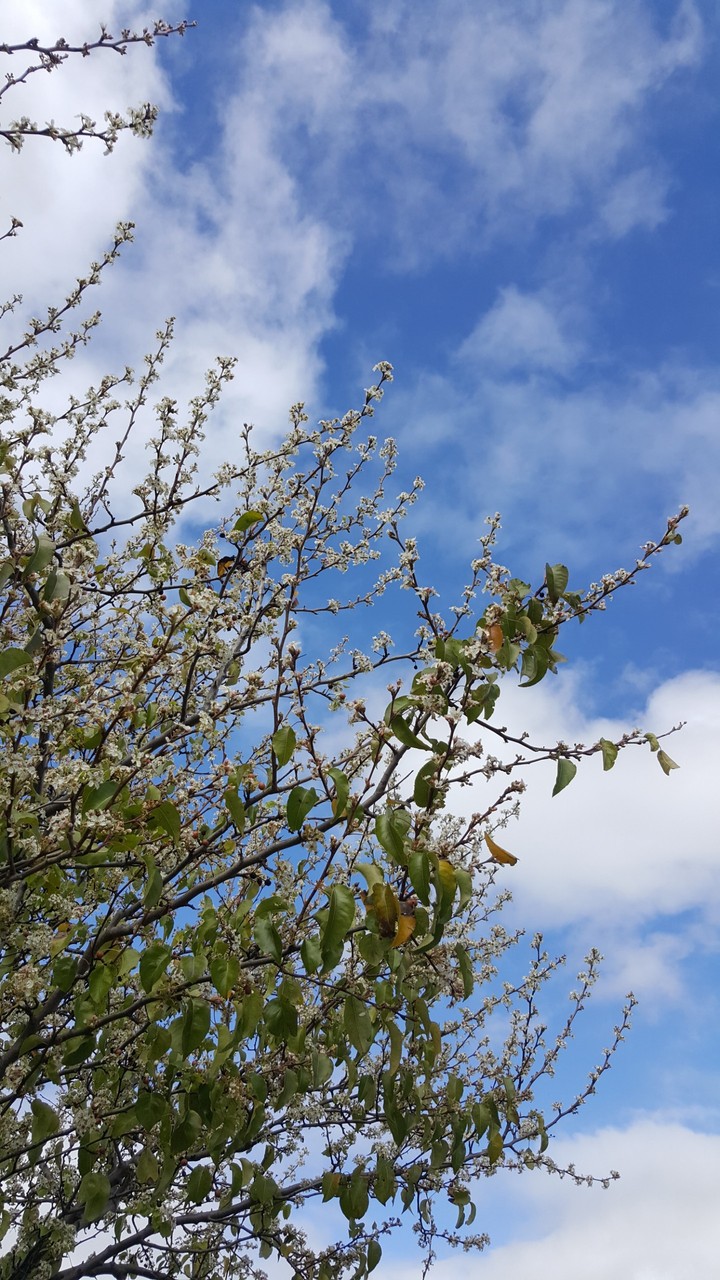 Spring is coming