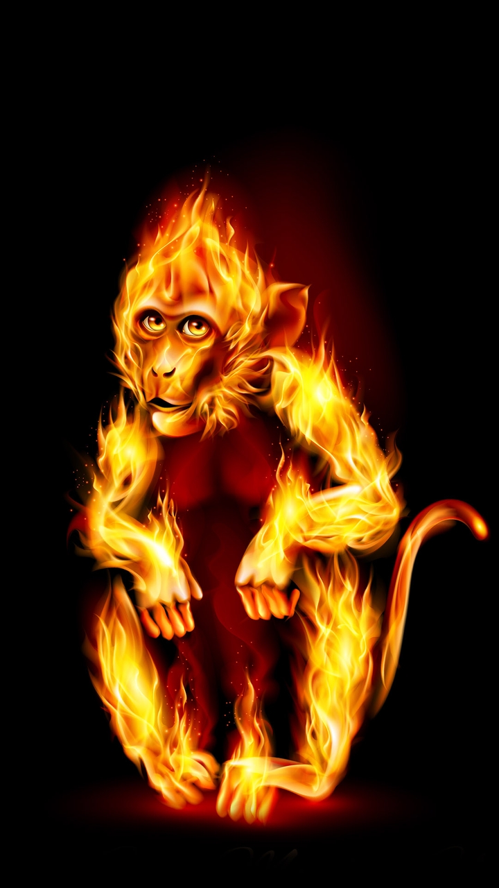 year of the fire monkey 1968