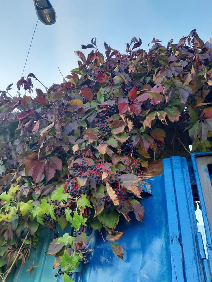 ?