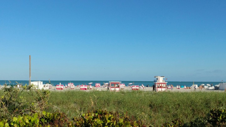 Beachy Days