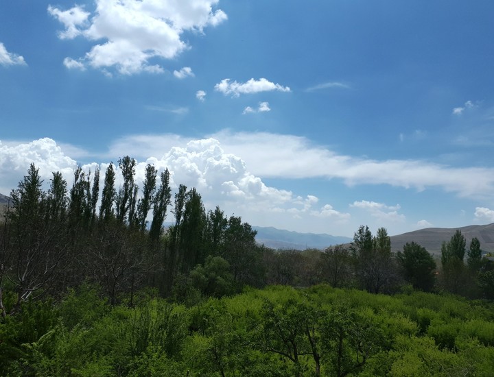 Paradise