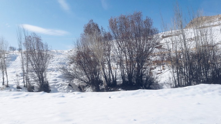 snow