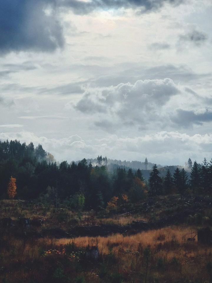 greatest season #Fall