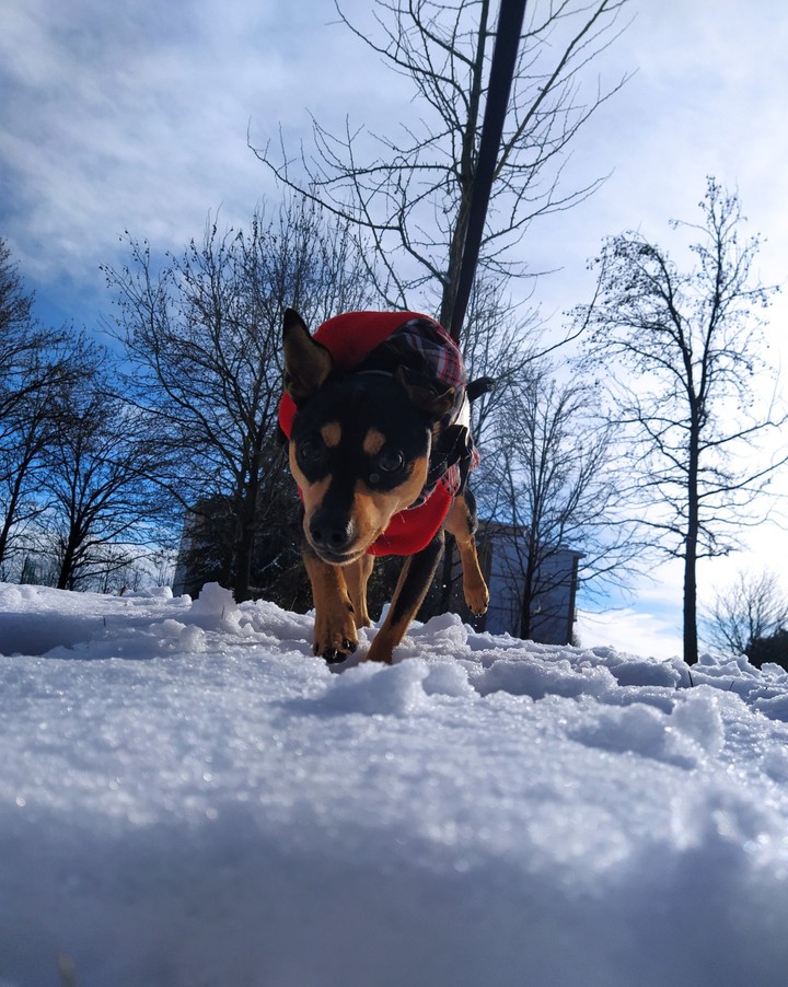 snow
