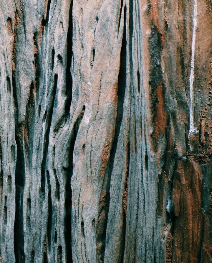ancient
