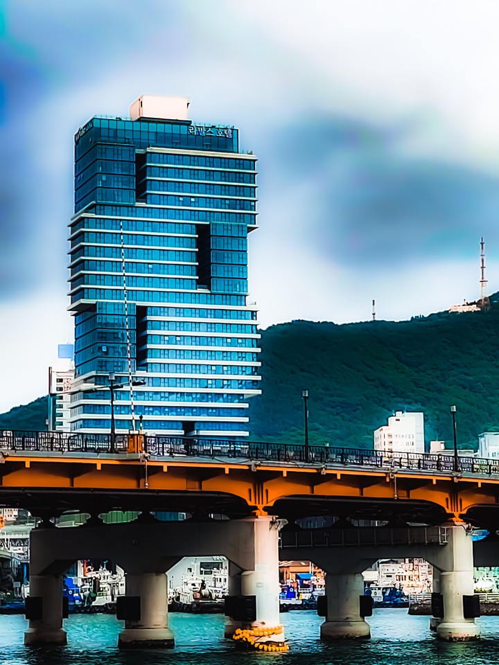 영도