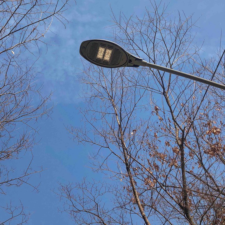 가을 Fall