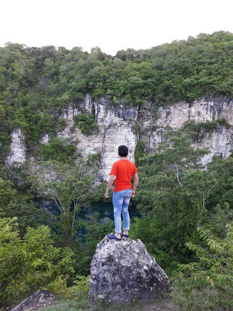 green adventure