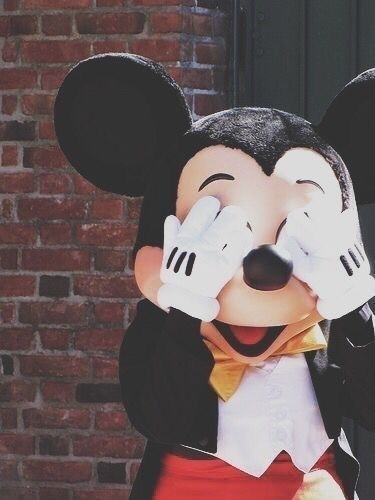 wanna play hide & seek with Mickey?