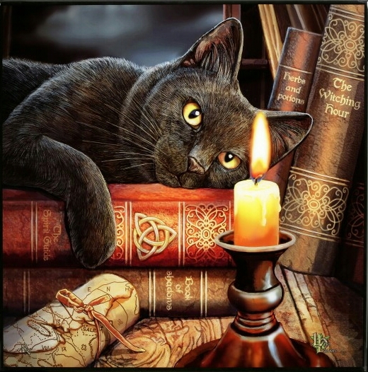 ~ The Witches Cat ~