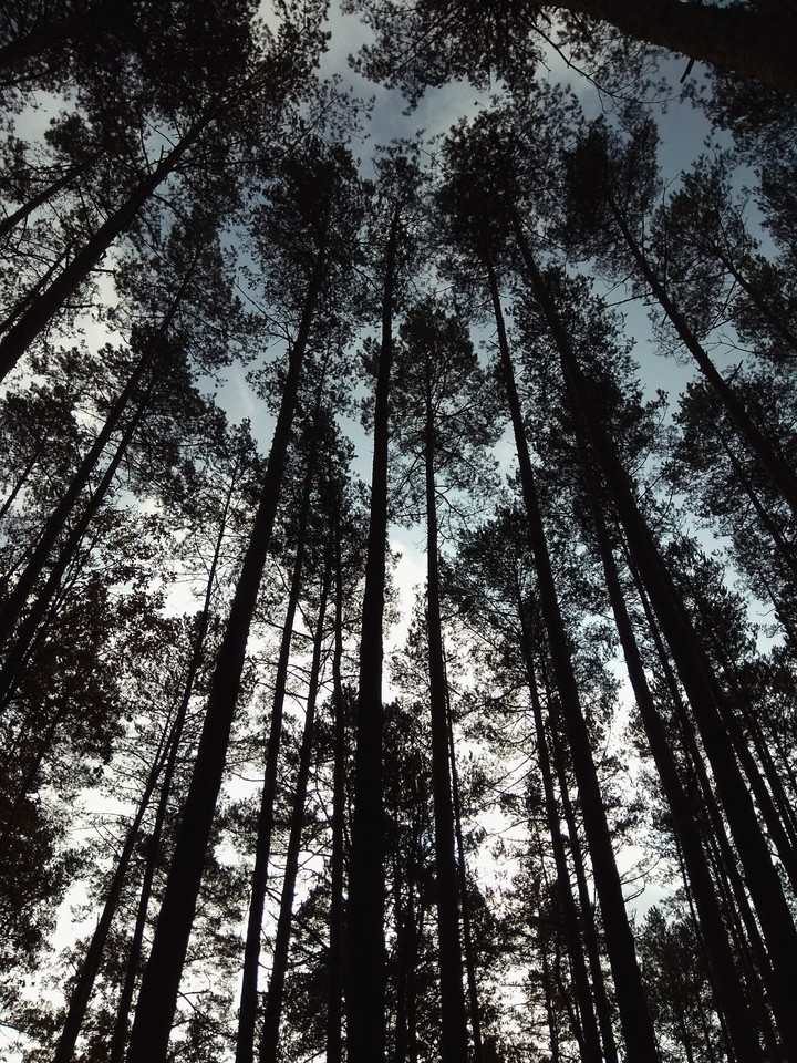 look up