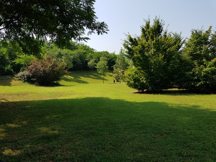 green in the park
