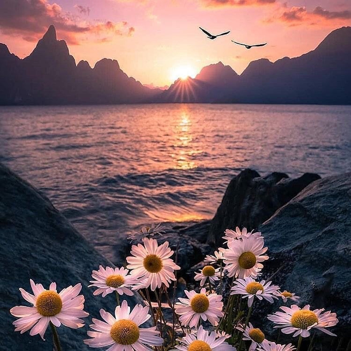 ⭐