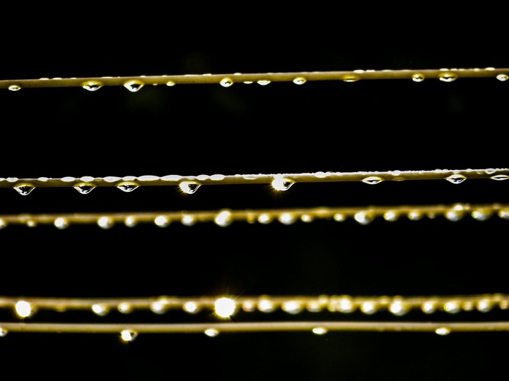 Dark rain