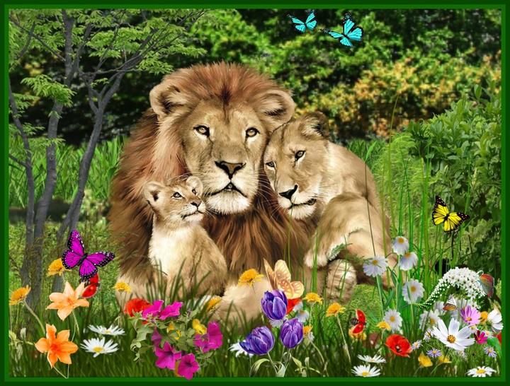 Animal in der Wildnis