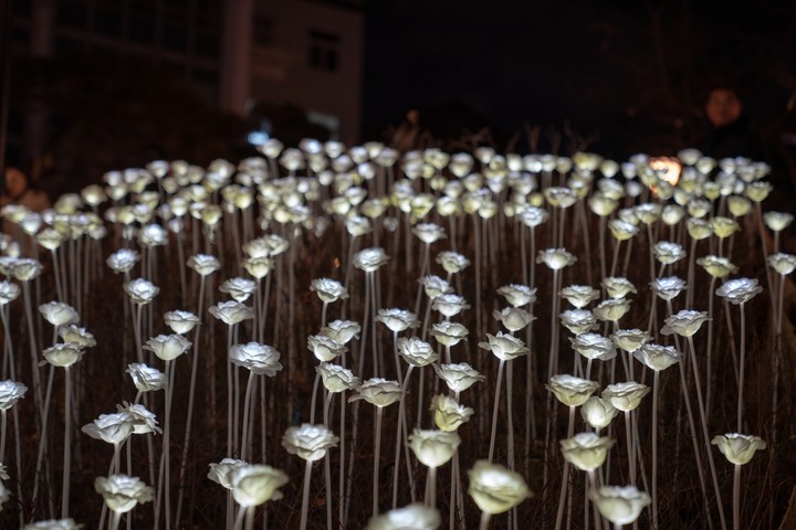 light flower