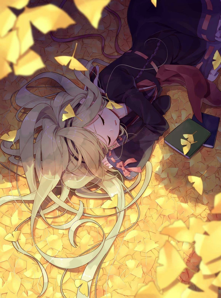 Dreams