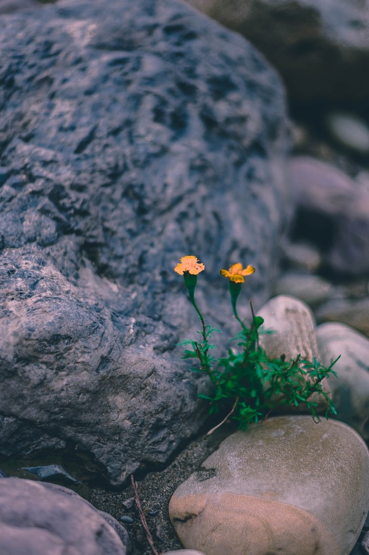 hope
