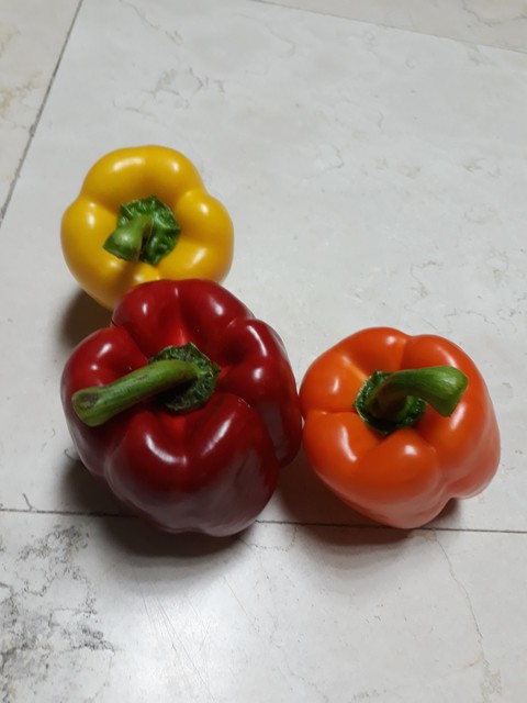 파프리카