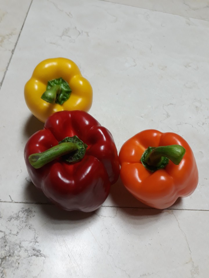 파프리카
