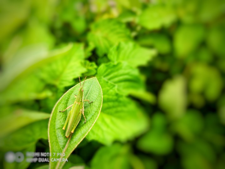 beautiful nature