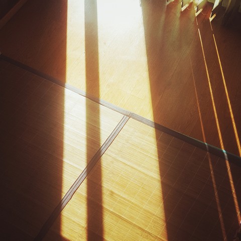 afternoon