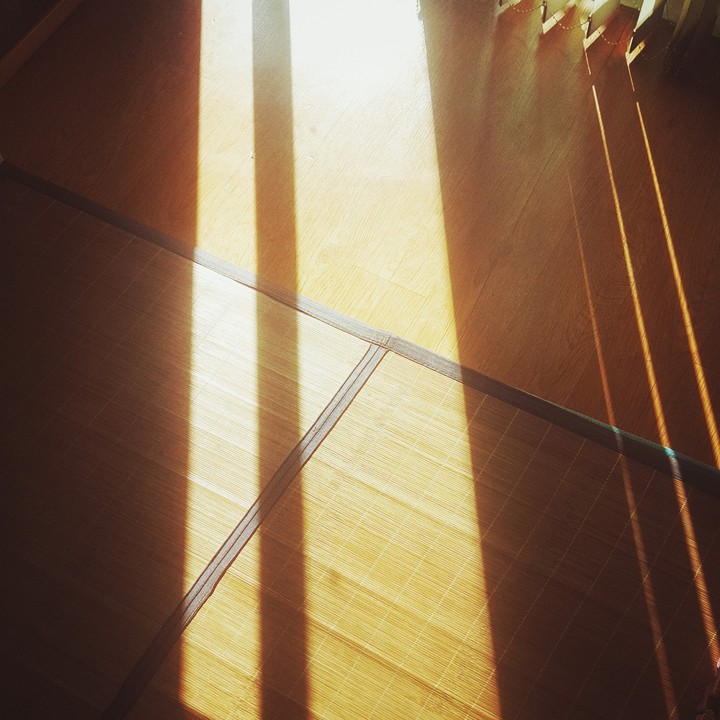 afternoon