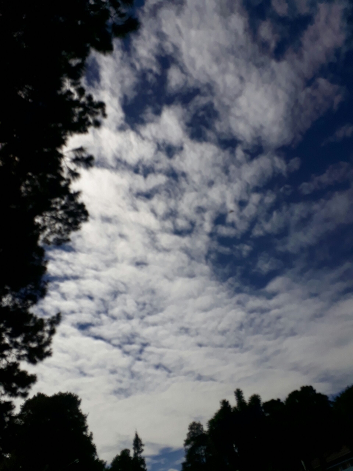 white cloud