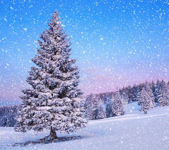 winter
