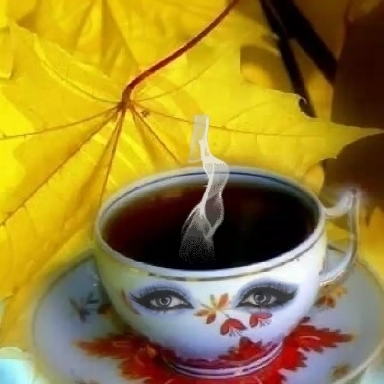Good morning my friends ❤️