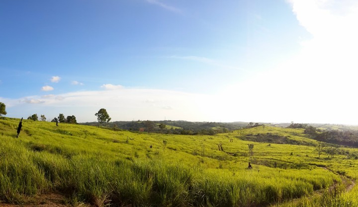 landscpae @balikpapan