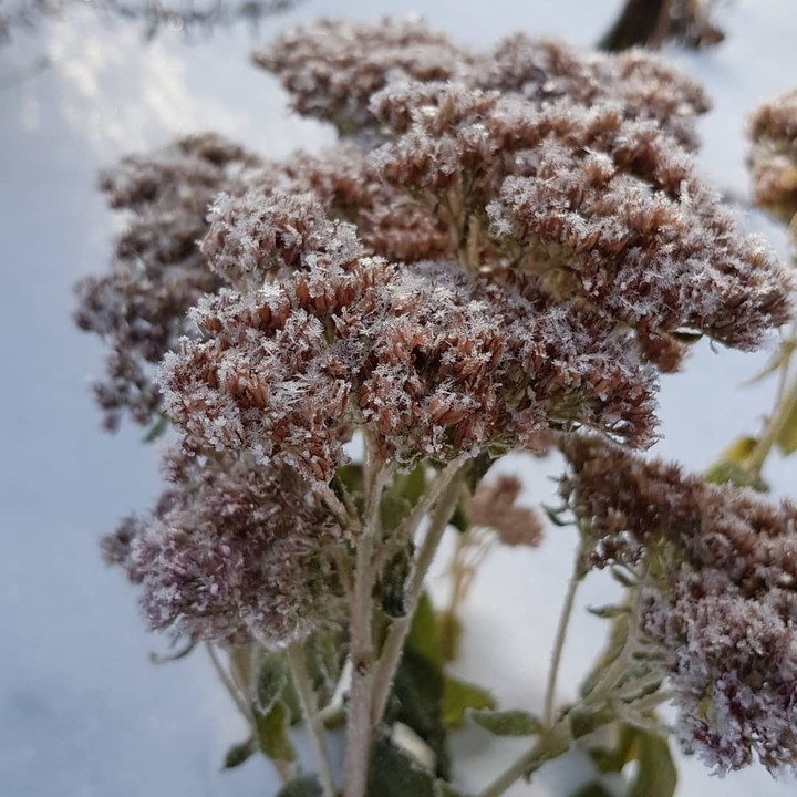 зима
