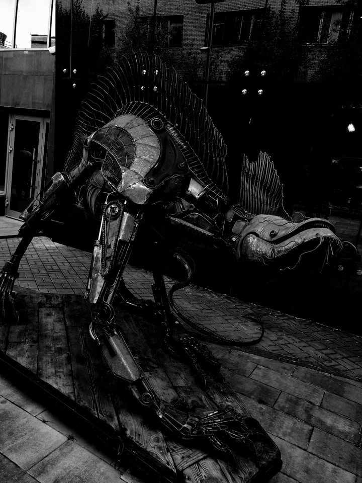 mechanistic dragon monochrome
