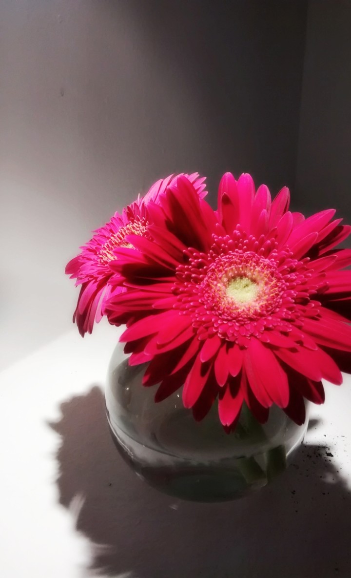 flor