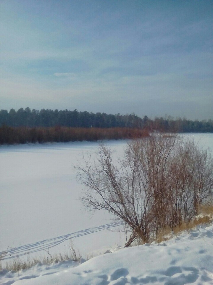 зима