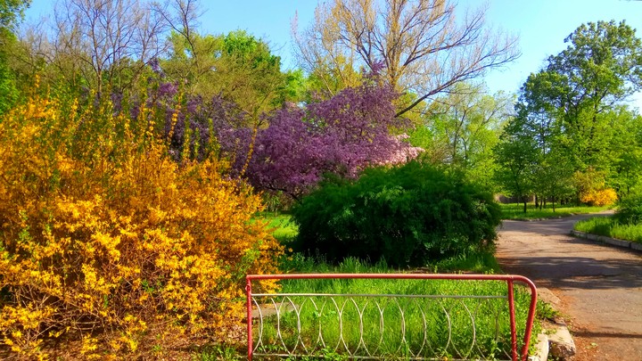 Colorful Spring