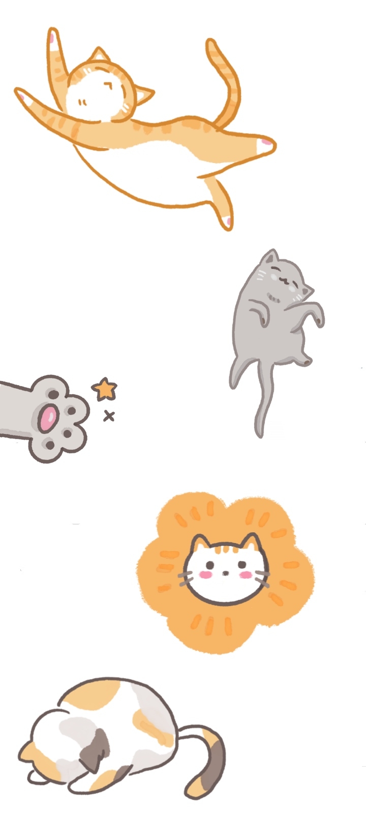 котики